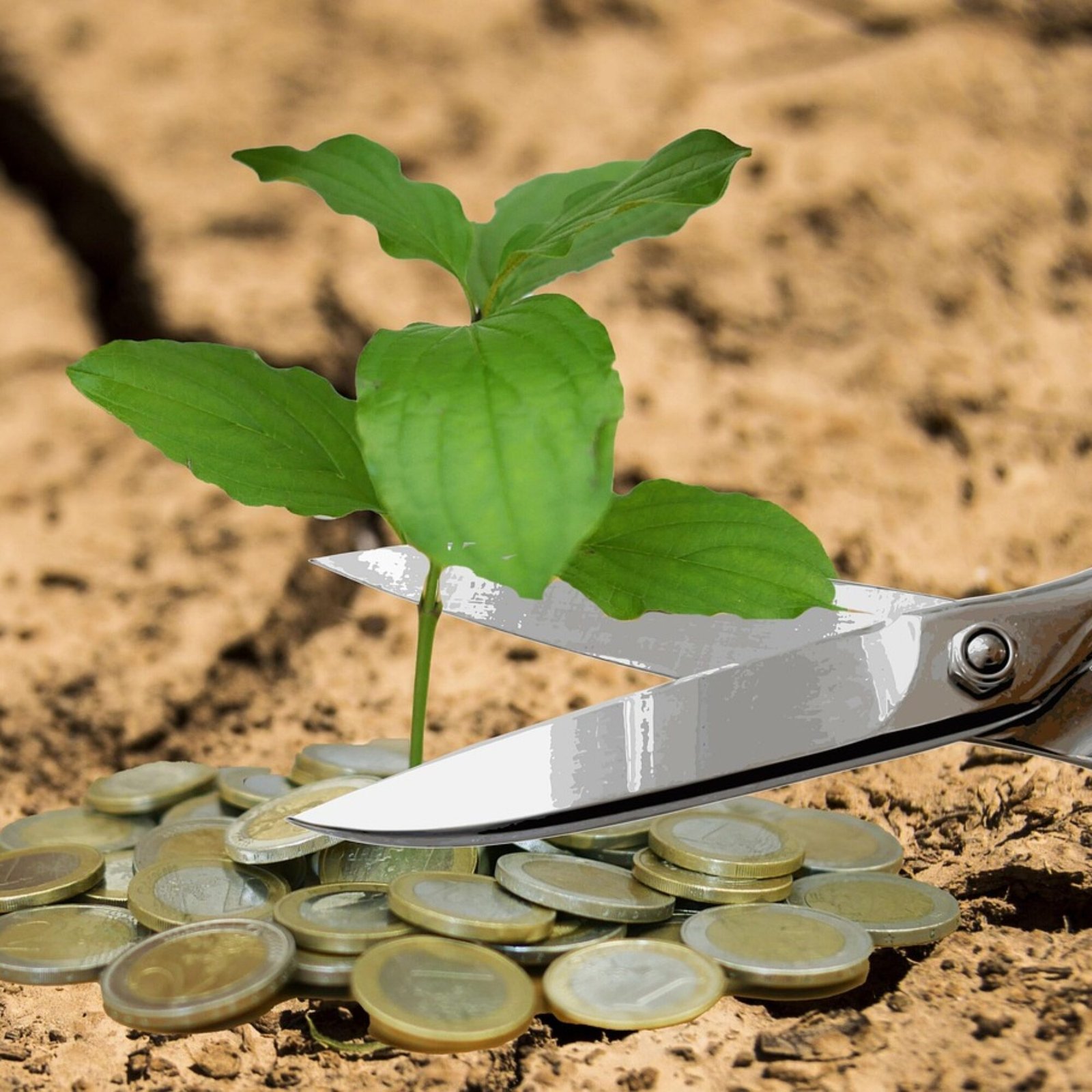 ECONOMIE | Histoire, Raisons et Conséquences des Dévaluations Monétaires