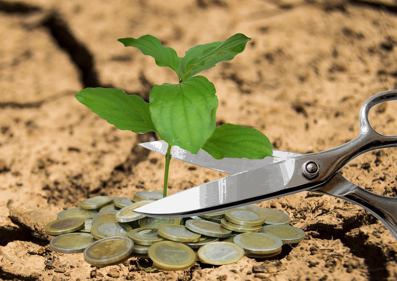 You are currently viewing ECONOMIE | Histoire, Raisons et Conséquences des Dévaluations Monétaires